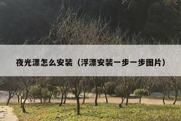 夜光漂怎么安装（浮漂安装一步一步图片）
