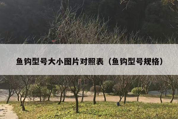 鱼钩型号大小图片对照表（鱼钩型号规格）