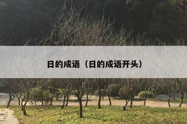 日的成语（日的成语开头）