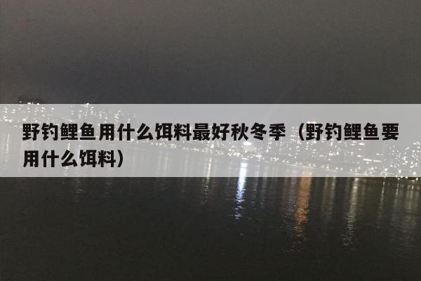 野钓鲤鱼用什么饵料最好秋冬季（野钓鲤鱼要用什么饵料）