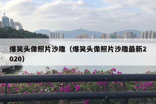 爆笑头像照片沙雕（爆笑头像照片沙雕最新2020）