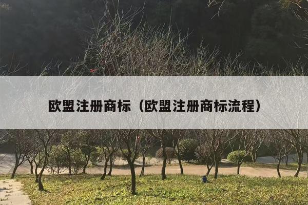 欧盟注册商标（欧盟注册商标流程）