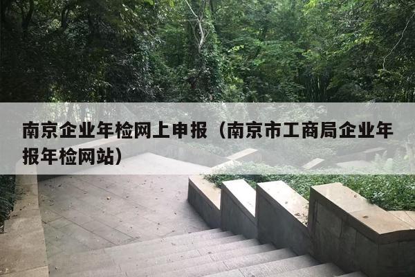 南京企业年检网上申报（南京市工商局企业年报年检网站）
