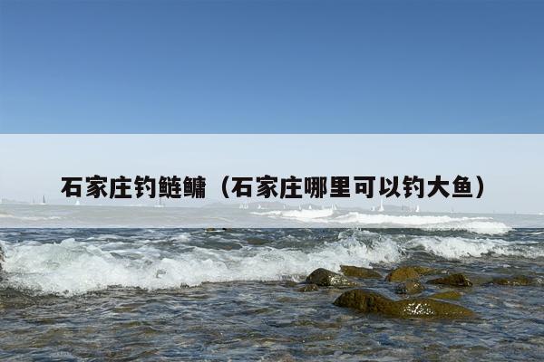 石家庄钓鲢鳙（石家庄哪里可以钓大鱼）