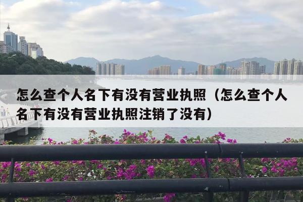 怎么查个人名下有没有营业执照（怎么查个人名下有没有营业执照注销了没有）